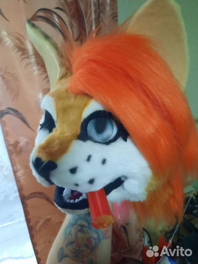 Фурсьют кошка,рысь,собака,лиса