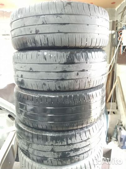 Goodyear EfficientGrip Performance 205/55 R16 91V