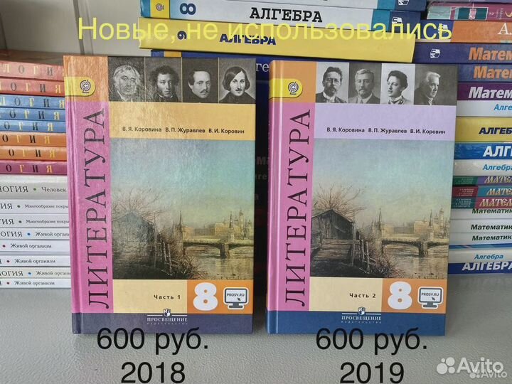 Литература 8 класс Коровин часть 2