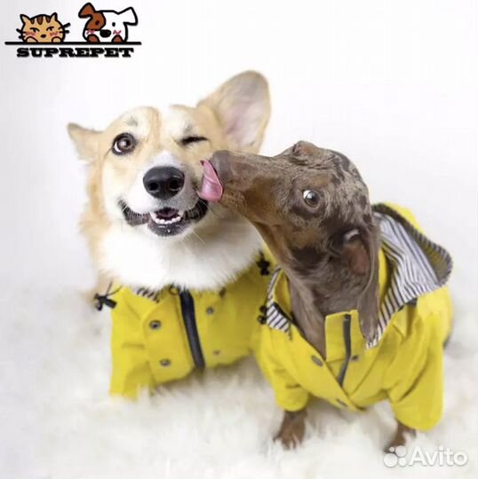 Куртка для собаки