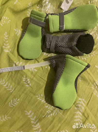 Собачьи ботинки