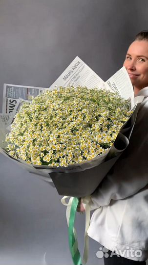 Рамашки букет