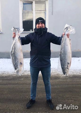 Сёмга премиум (Атлантическая) /Форель