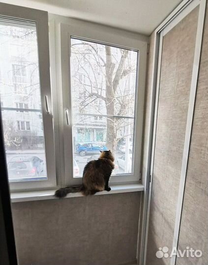 Пластиковые окна пвх