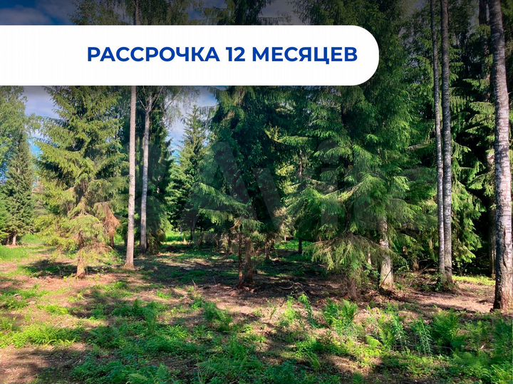 Участок 9,6 сот. (СНТ, ДНП)