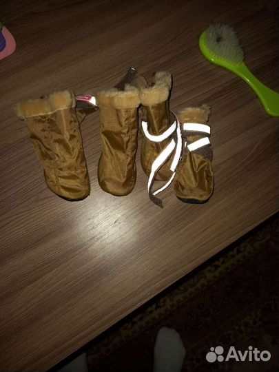 Обувь для собак