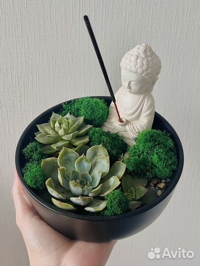 Флорариум в подарок с буддой