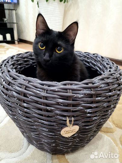 Кашпо из искусственного ротанга