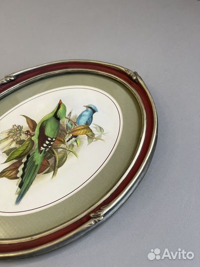 Картина в овальной раме