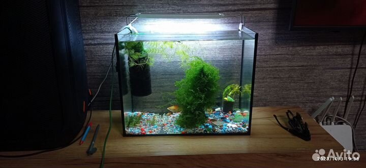 Аквариум на 30 литров