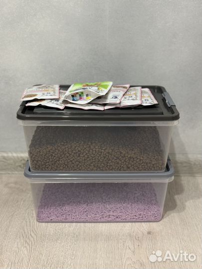 Когтеточка с домиком, лоток, миски, корм