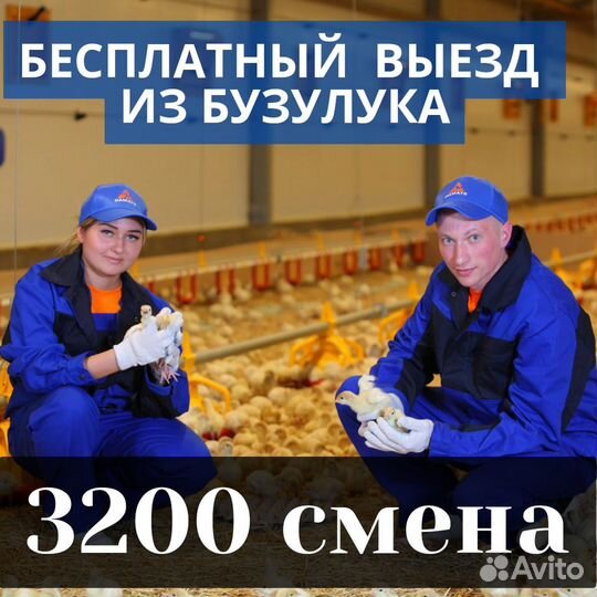 Вахта Пенза бесплатный проезд рабочий вакцинатор