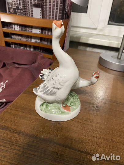 Лфз гуси дфз вербилки