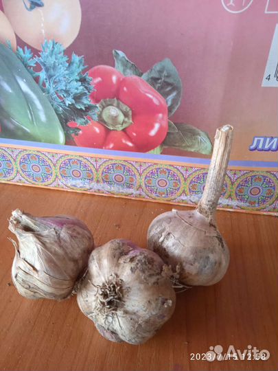 Продается чеснок