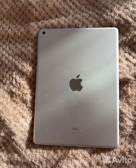 iPad