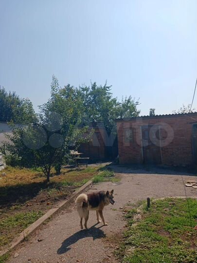 Дом 60 м² на участке 15 сот.