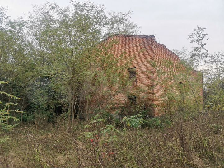 Дача 100 м² на участке 12 сот.