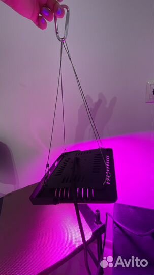 Фитолампа для растений