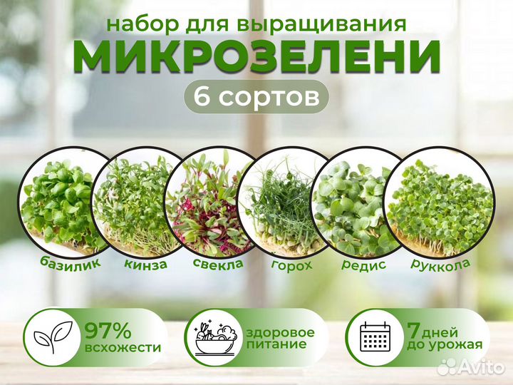 Создание инфографики