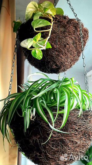 Кашпо подвесное плетеное двухъярусное/экодизайн