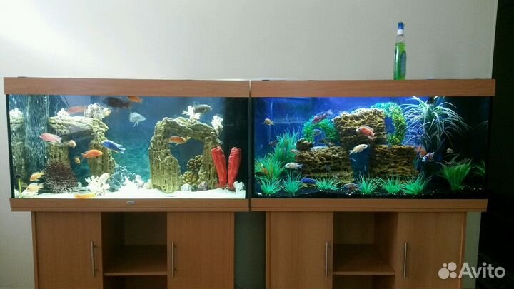 Изготовление/Установка/Декорирование/Обслуживание