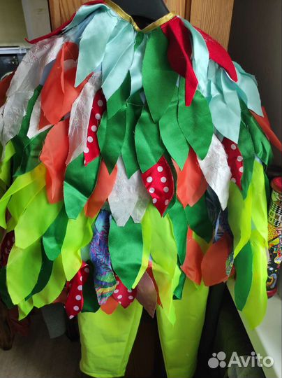 Костюм Попугая