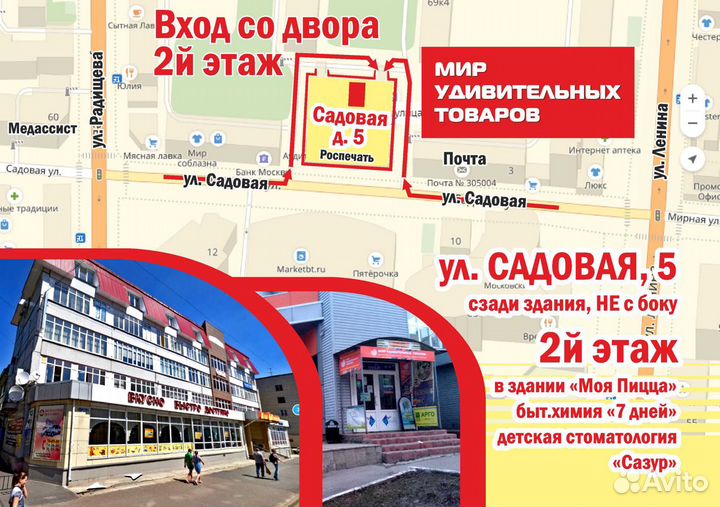 Муравьиная ферма с муравьями, зеленая эконом