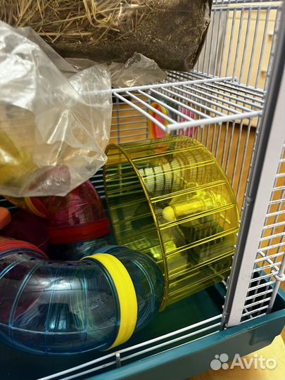 Клетка для хомяка (полное укомплектование)