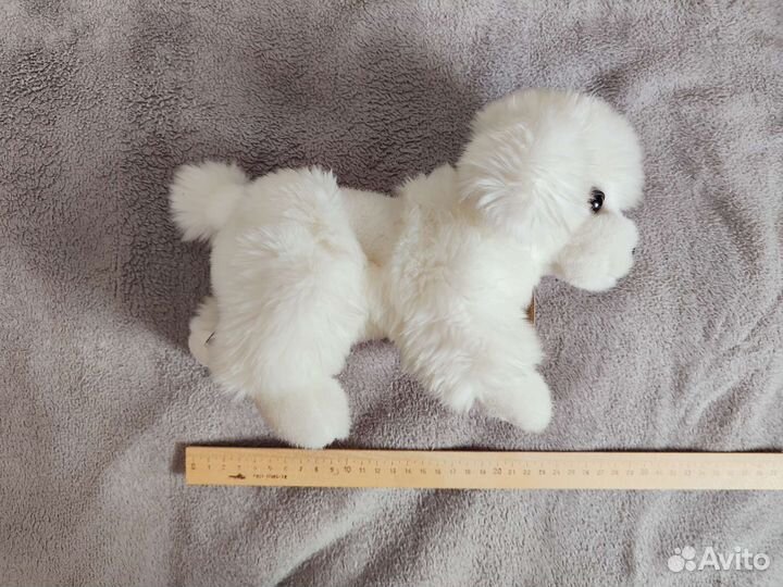 Плюшевый пудель