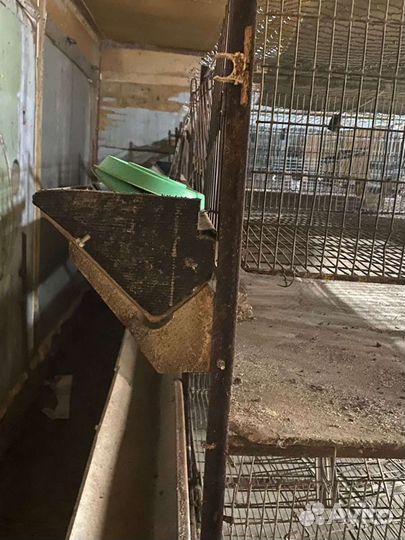 Заводские клетки для птиц