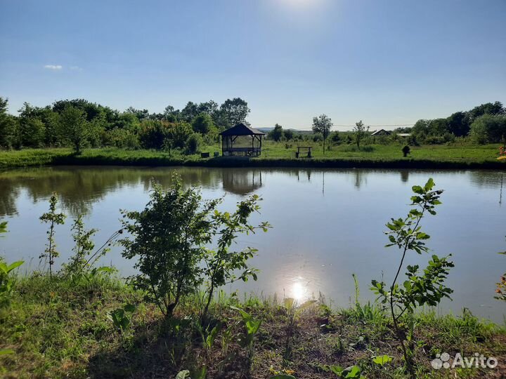 Базы отдыха рыбалка