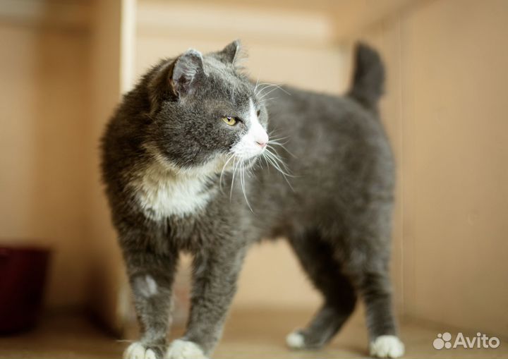 Оливеру очень нужна семья