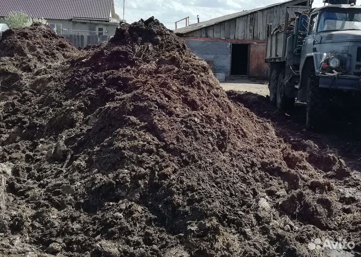 Перегной Навоз