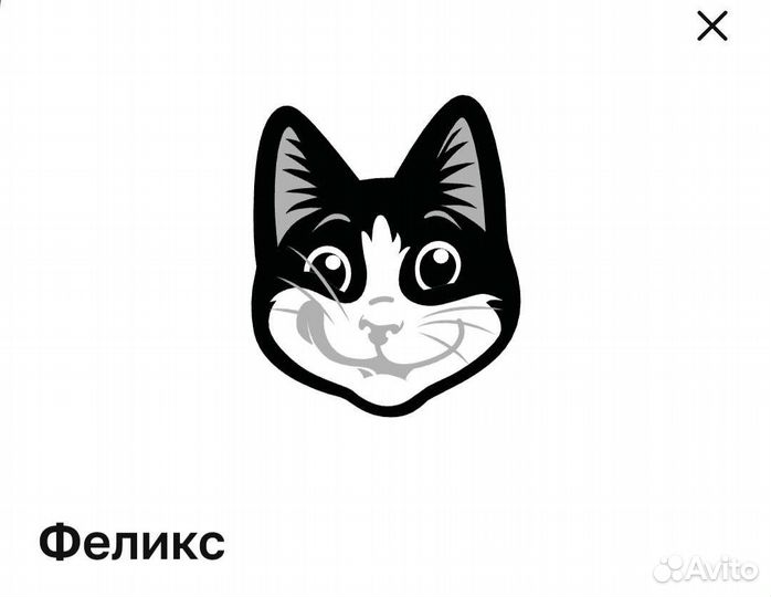 Стикерсы магнит