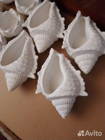 Раскраска из гипса,ракушка