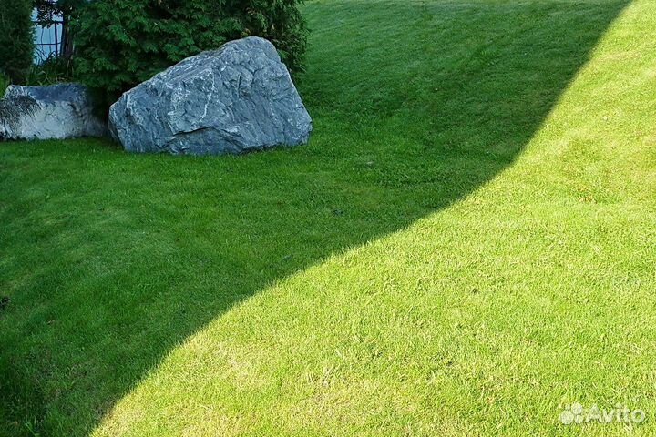 Теневой рулонный газон под ключ
