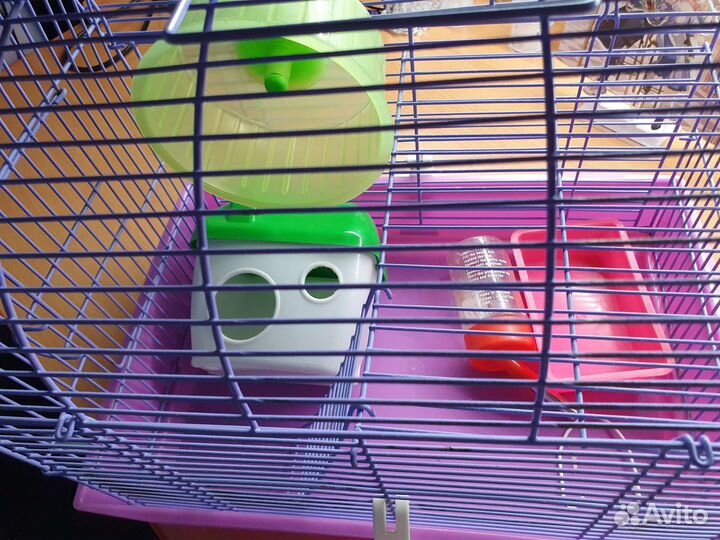 Клетки для грызунов бу