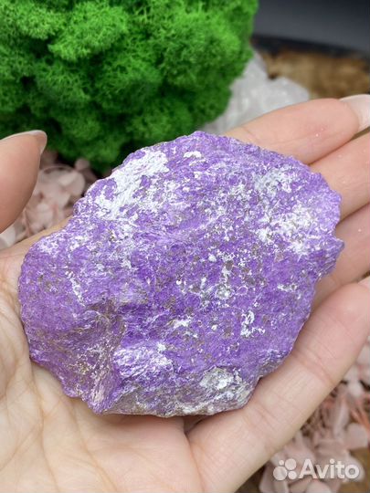 Стихтит коллекционный