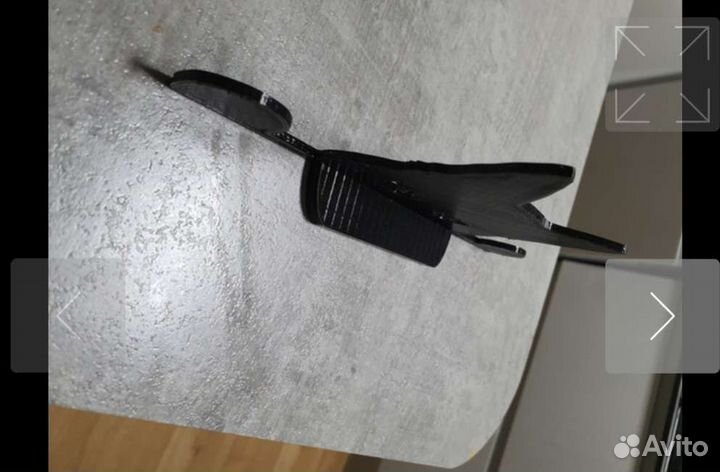 Кот сторожевой