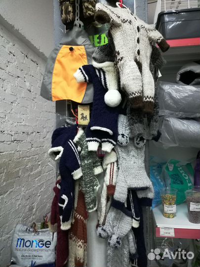 Одежда для собак и котов