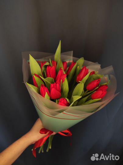 Красные тюльпаны