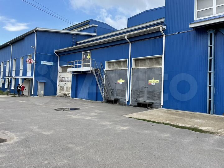 Помещение 1450 м.кв