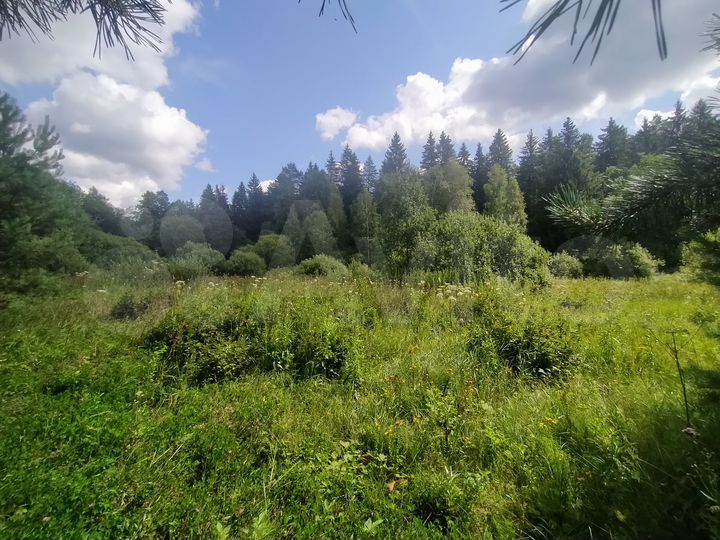 Участок 100 сот. (СНТ, ДНП)