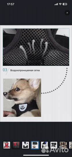 Шлейка прогулочная для собак и кошек S размер