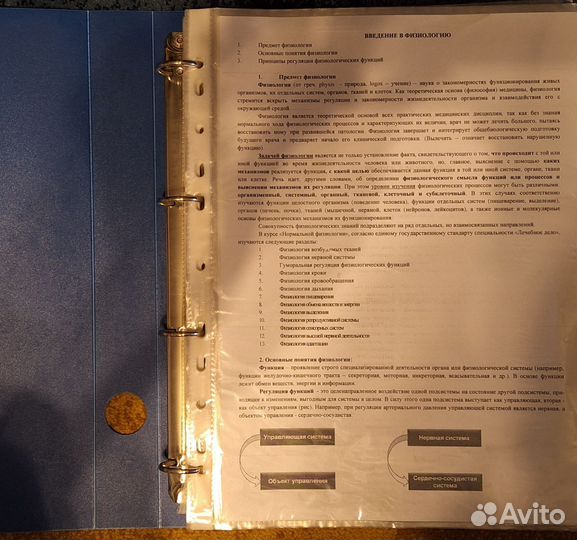 Нормальная физиология (лекции в папке)