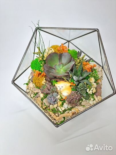 Флорариум Оазис, подарок, декор, интерьер