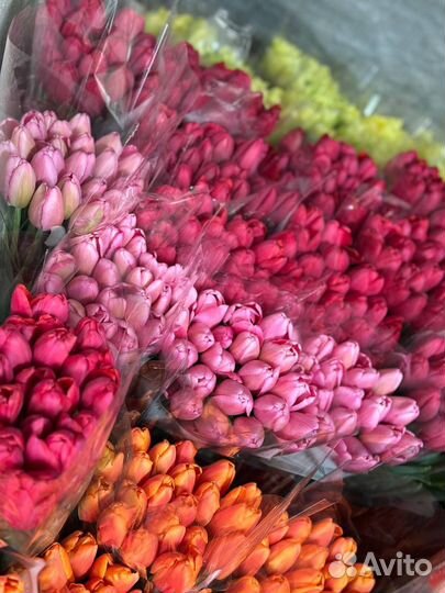 Тюльпаны к 8 марта букеты розница