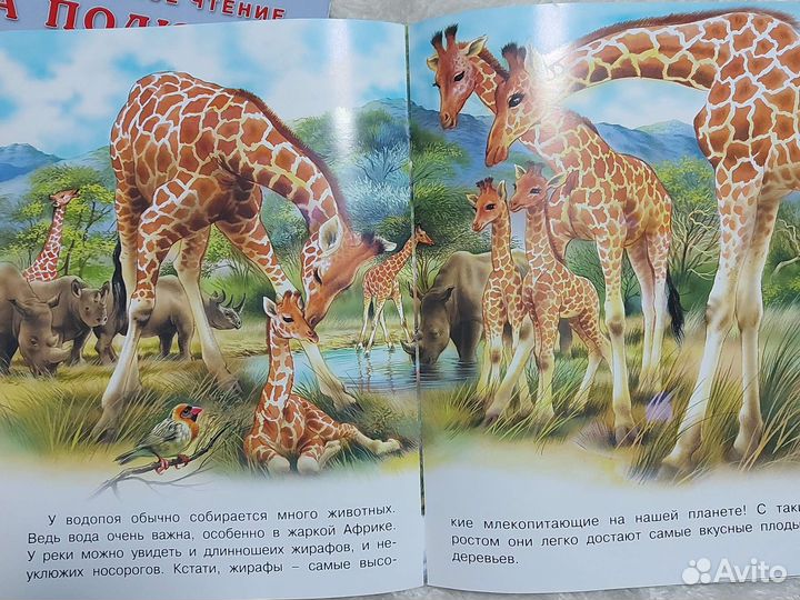 Ирина Гурина Ежик Гоша и другие книги