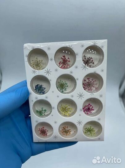 Сухоцветы, Всё для дизайна ногтей