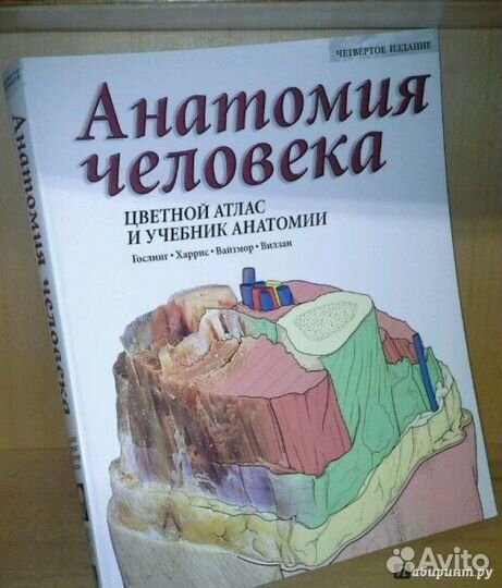 Анатомия Человека Гослинг Харрис Вайтмор Виллан
